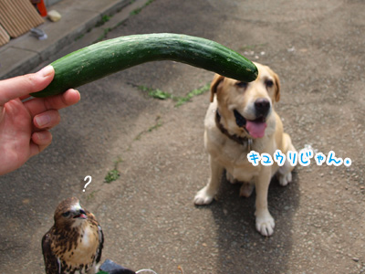 だよ。.jpg