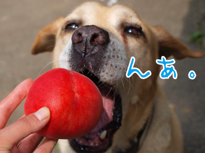 んあ.jpg