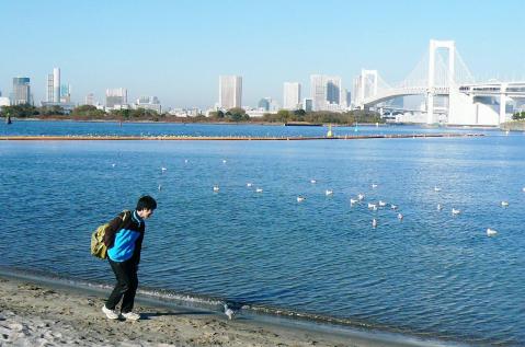 イノスとレインボーブリッジ
