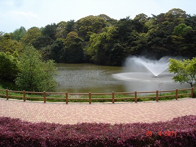 DSC03447.jpg