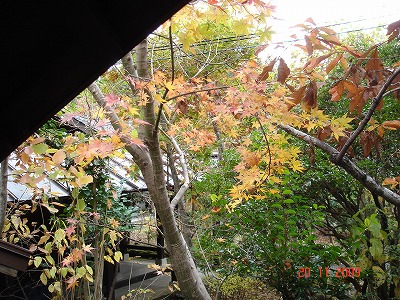 DSC01376.jpg