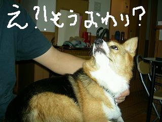 ミント甘えん坊２