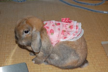 モカ2009101902