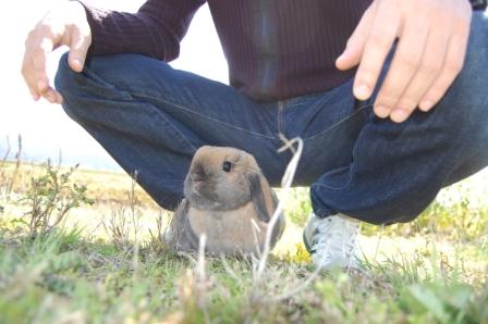 モカ2010040803