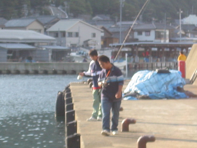 117-1724_IMG.JPG