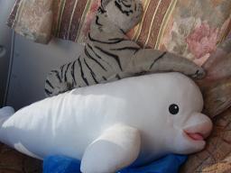 水族館７.JPG