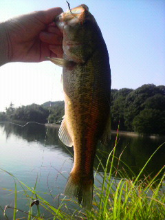 2009-07-22 16:39:21