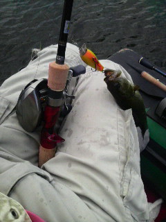 2009071511070000.JPG