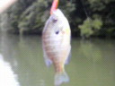 2008-10-01 10:46:08