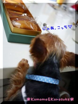 おねだり