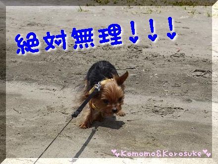 絶対無理！