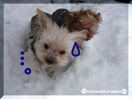 雪遊び？