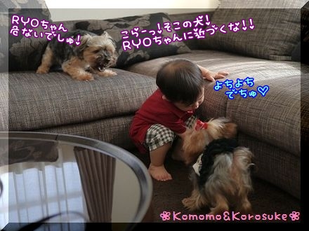 こらー