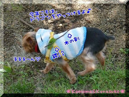 木の剣