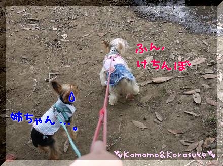 ふん