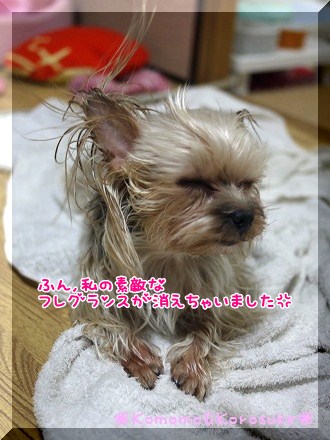 ふん
