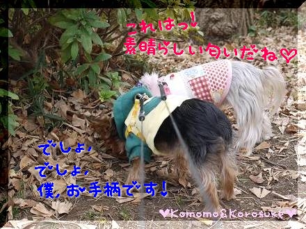 クンクン隊