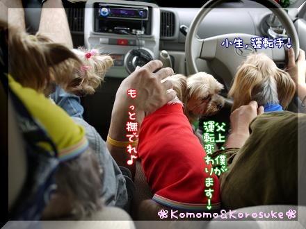 ワラワラ