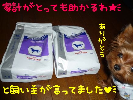 サンプル