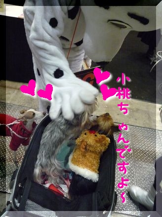 大きな犬さん