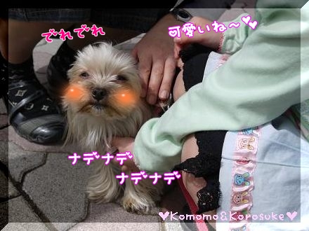 ナデナデ