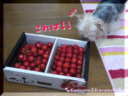 はっ！