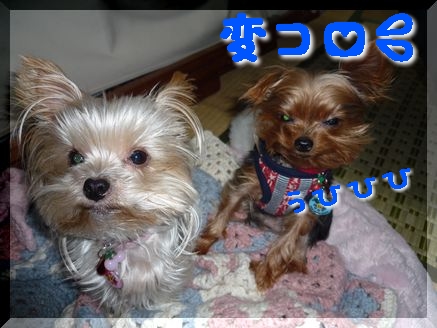 変コロ