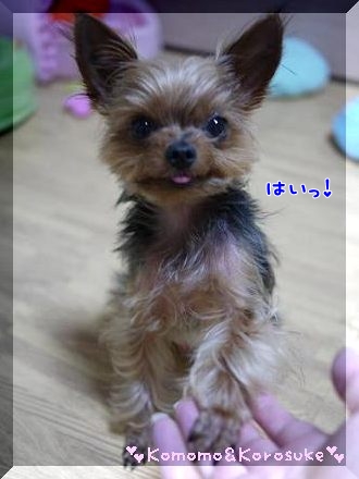 オテ