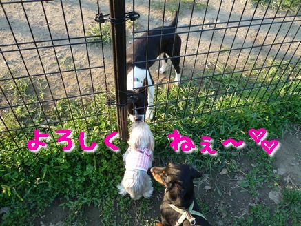 ご挨拶