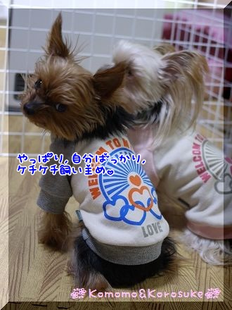 ふん