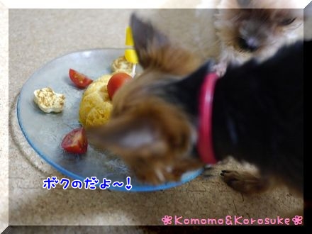 ボクの