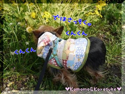 くんくん