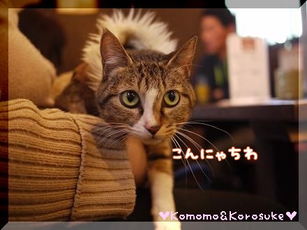 にゃ