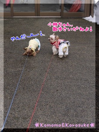 やんだ