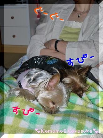 Ｚｚｚ
