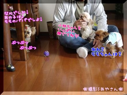 ご挨拶