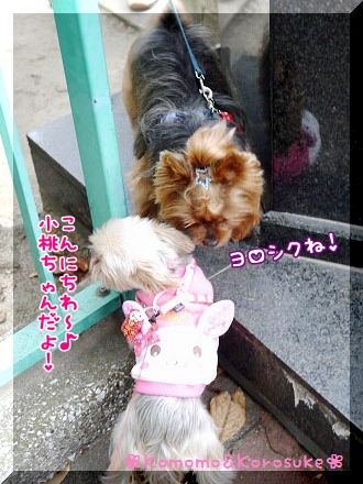 こんにちわ
