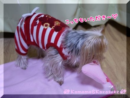 欲張り