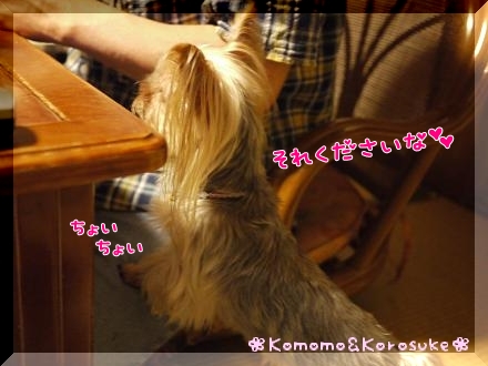 おねだり