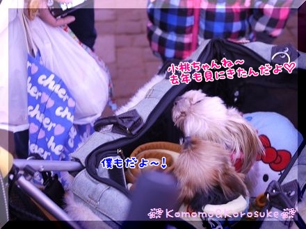 人気者