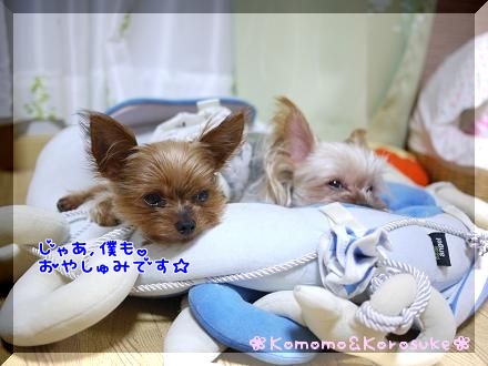 充電中