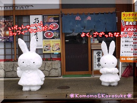 ミッフィーちゃん
