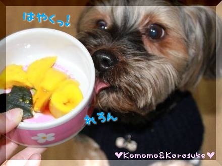 れろん