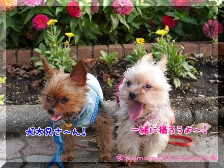 にこにお