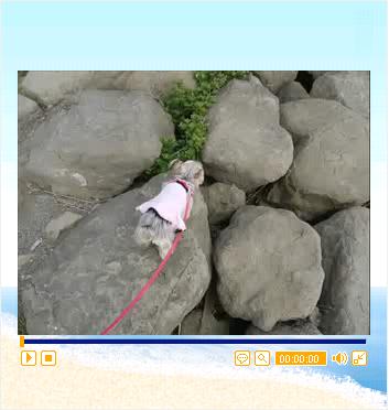 クリックしてね