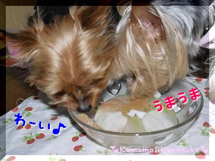 うまうま