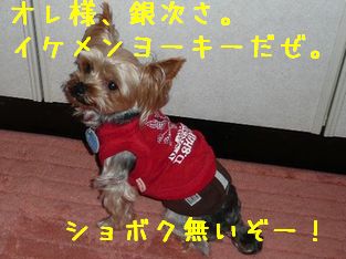 銀次君