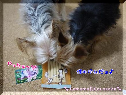やったぁ