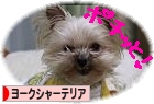 ぽちっと！