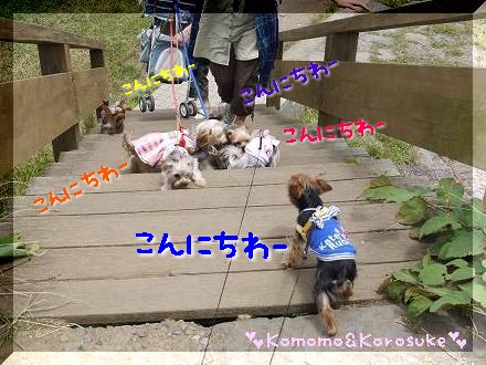こんにちわー